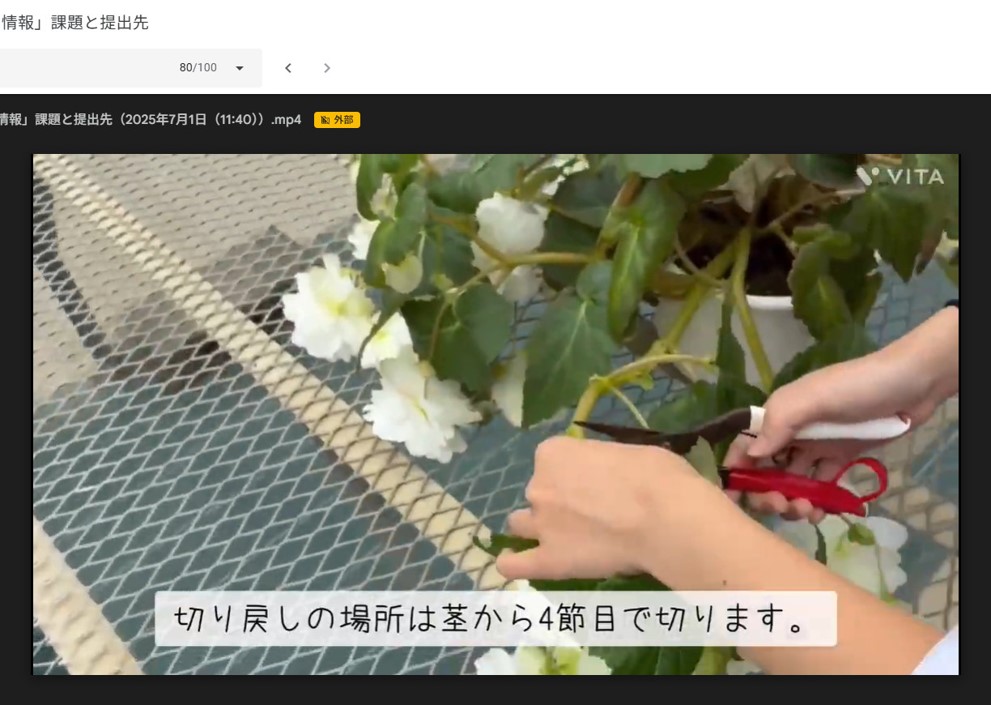 制作した学習内容動画のキャプチャ