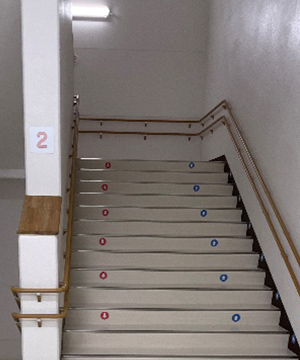 手すりを2本設置した階段の写真