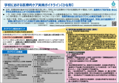 学校における医療的ケア実施ガイドライン【ひな形】(概要)