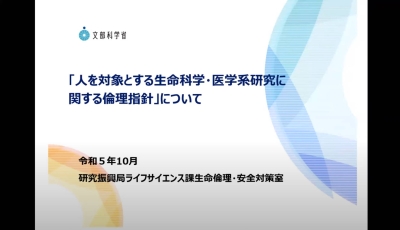 ムービー画像