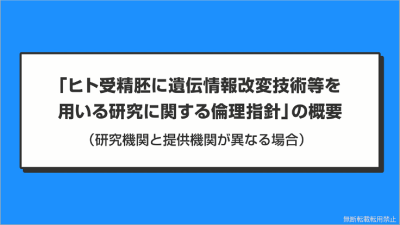 ムービー画像