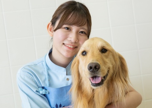 国家資格「愛玩動物看護師」を養成