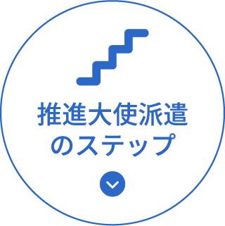 推進大使派遣のステップ