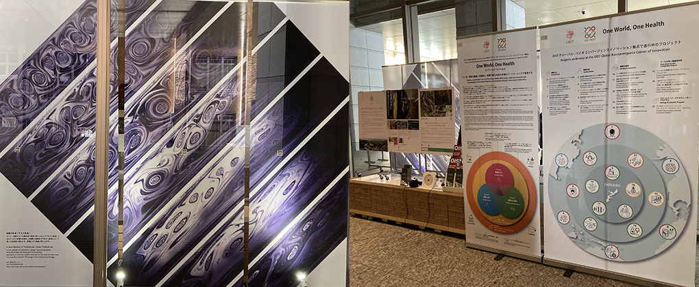 【エントランス】新規企画展示のお知らせ【沖縄科学技術大学院大学】