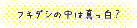 フキダシの中は真っ白？