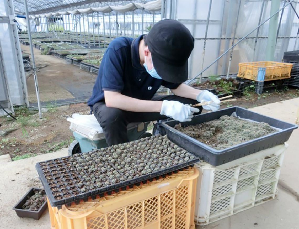 通信制の課程では外部機関と連携してボランティア活動(写真上)や就労体験(写真下)を行っている。(提供:静岡県立静岡中央高等学校)