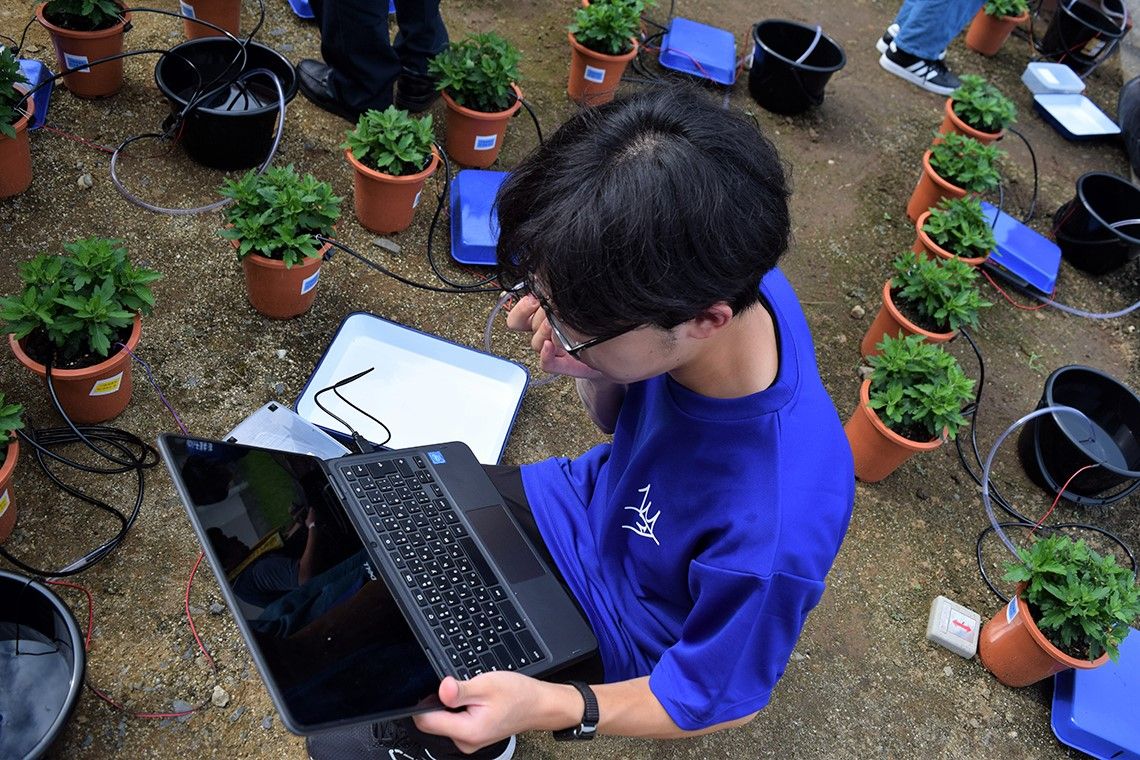 菊の状態やセンサの値を見ながら自分の端末でプログラムを修正(提供:茨城県立IT未来高等学校)
