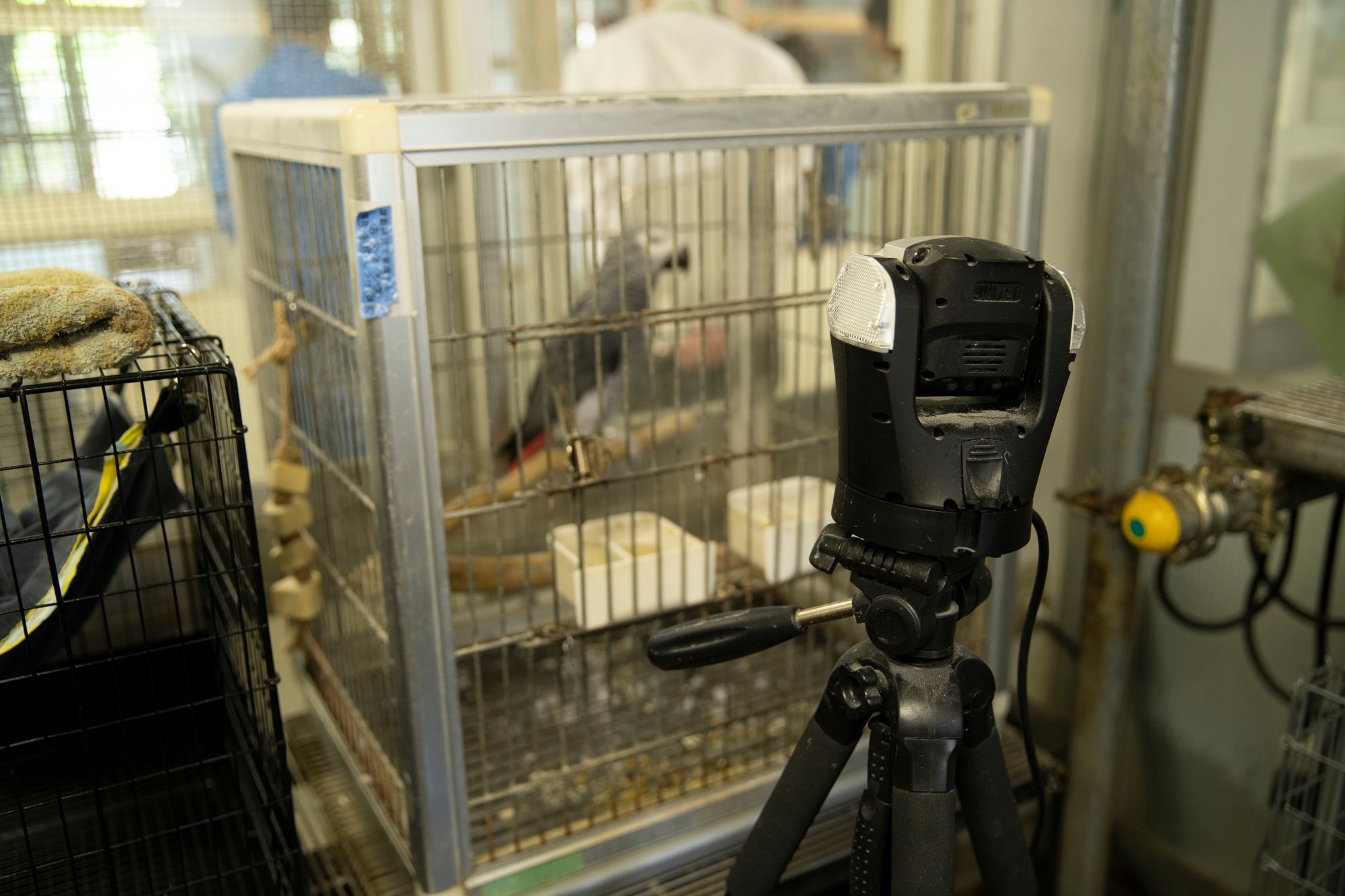 動物舎に設置されたネットワークカメラ。このカメラで撮影されたデータは、業者を通して学校に届けられ、生徒はその映像を見てデータ解析を行っている