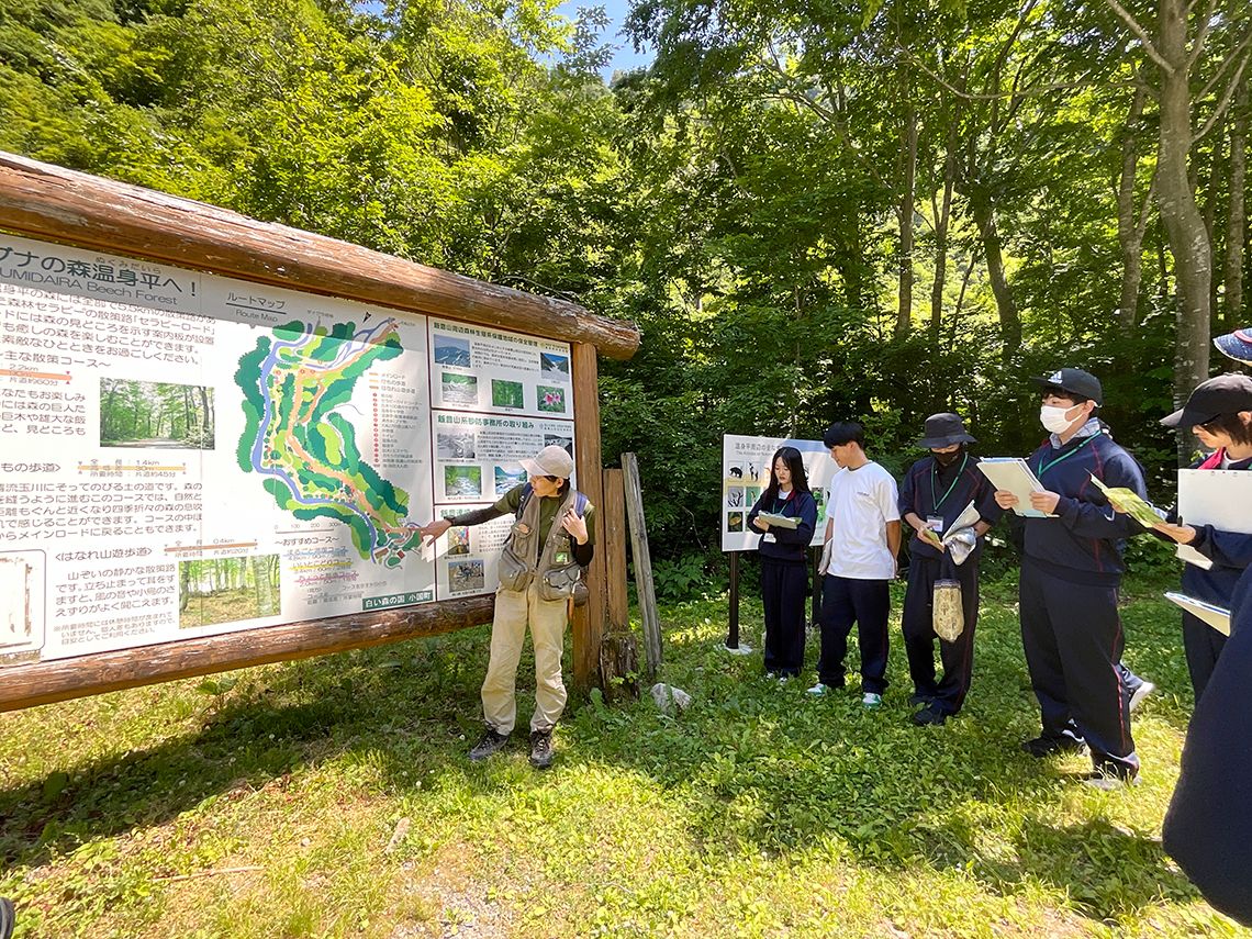 ブナの森で知られる小国町の自然をガイドとともに体感。「白い森未来探究学」で「地域に浸る」第一歩になる。(提供:山形県立小国高等学校(小国町温平・森林セラピー))
