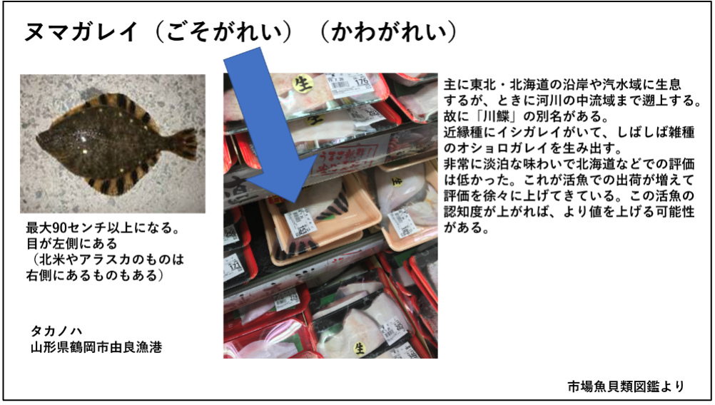 商店や市場などに見学した際に撮影した写真を、そのままスライド教材に活用している(提供:北海道小樽水産高等学校)