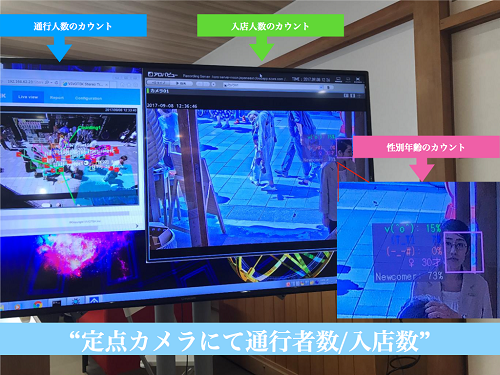 写真1