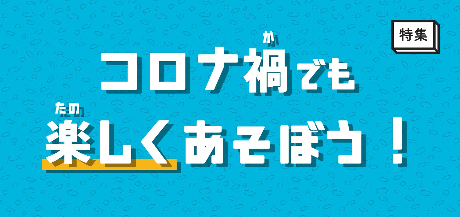 Sport In Lifeプロジェクト参画団体 企業の運動あそび等 スポーツ庁