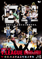 Vleague