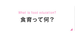 What is food education 食育って何？