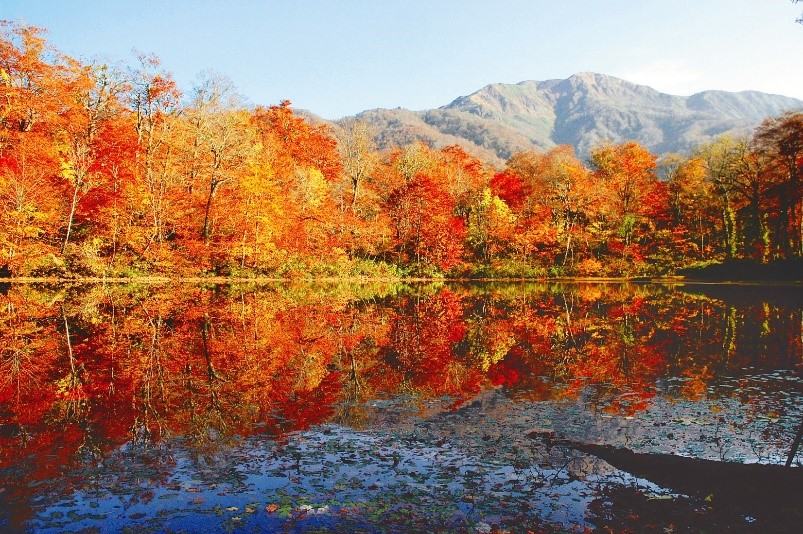 紅葉の刈込池